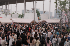 百万青年参与！郑好办×仲景宛西制药，520万