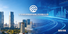 车车保险销售服务有限公司河南分公司