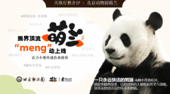 天络行携七大新IP亮相LEC开启授权新周期