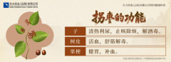 被忽略的宝藏果实：长得像“鸡爪子”的拐枣