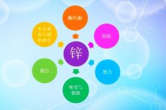 儿童补锌制剂临床选型循证研究：基于 2025